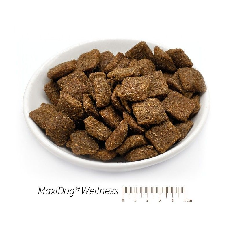 MaxiDog Wellness